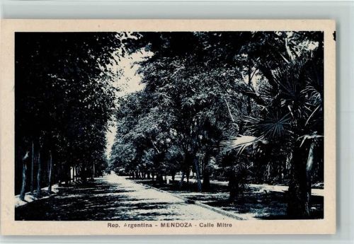 Mendoza Calle Mitre