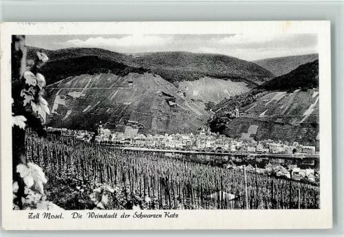 Zell Blick nach Zell Weinberge Schwarzen Katz