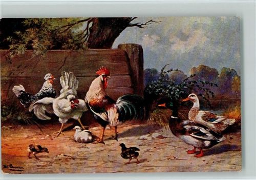 Serie 255 - Geflügel, Hühner und Enten AK Schönian, A. 1912 Künstlerkarte