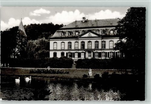 Birkenau Schloß und Kath. Kirche Schwäne