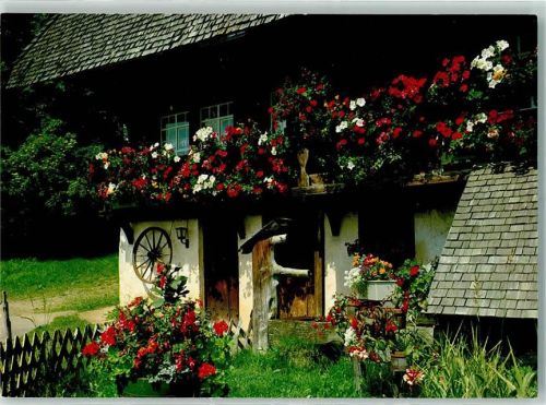 St. Märgen Rankmühle