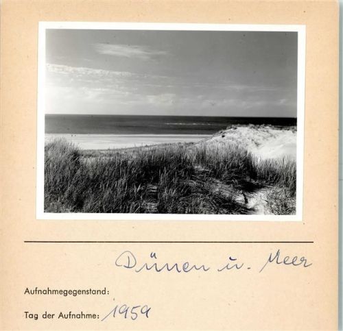 Dünen Foto montiert auf Karton Natur FOTO KEINE AK