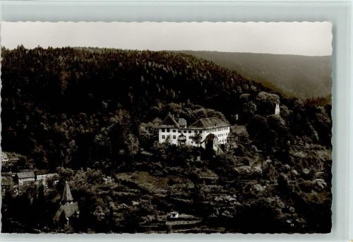 Neuenbürg Schloß
