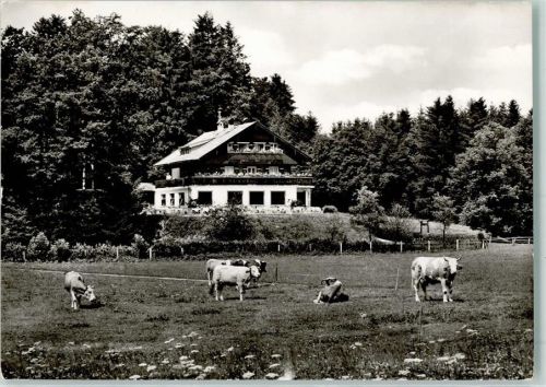Bad Heilbrunn Pension Waldrast Kühe
