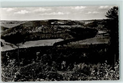 Vielbrunn Blick in das Ohrenbachtal