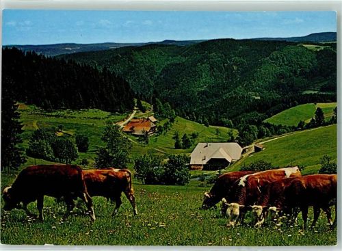 Schonach Rückseite mit Abschürfungen bzw Kleberesten Kuhherde