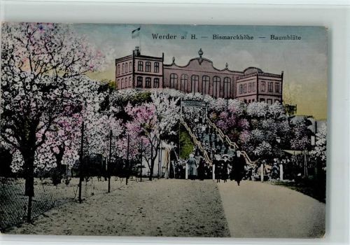 Werder Bismarckhöhe Baumblüte