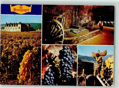 Bourgogne Weinbau