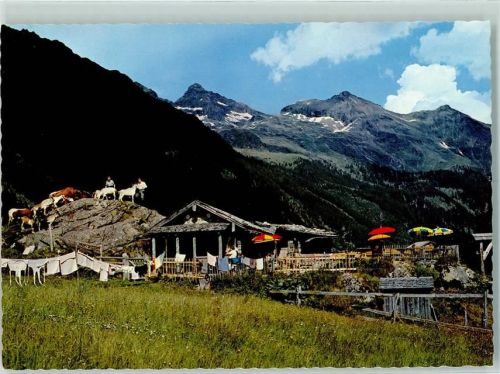 Gfölleralm Blick zur Hohen Wildstelle Ziegen Hüttenstempel