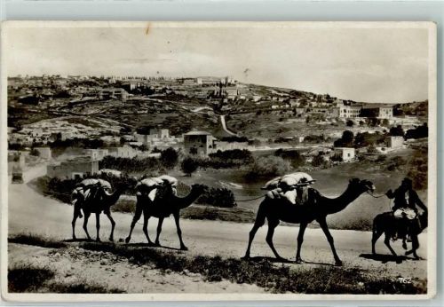 Nazareth 1938 Händler mit Kamele AK