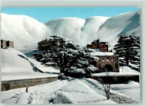 Al-Arz 1960 Winter Mount Lebanon