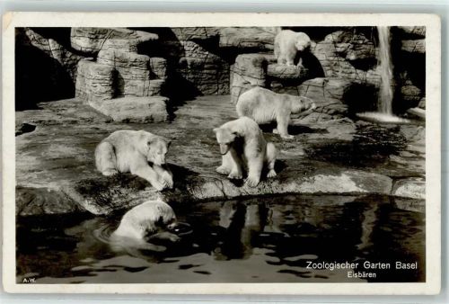 Basel ZOO