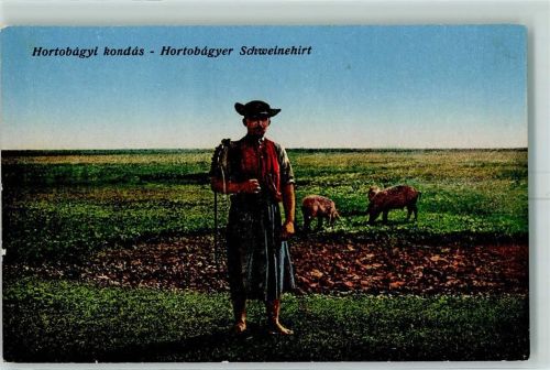 Hortobagyer Schweinehirte Landwirtschaft AK