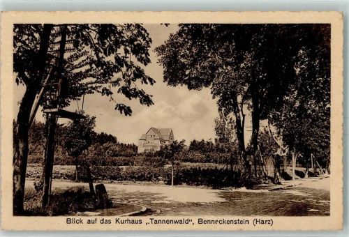 Benneckenstein Kurhaus Tannenwald
