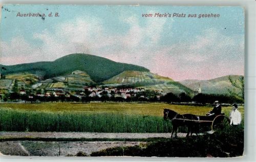 Auerbach 1908 Vom Merk´s Platz aus gesehen Kutsche