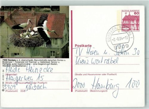 Saulgau Postkarte Störche