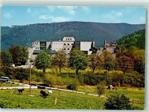 Altleiningen Pferdekoppel Burg jetzt Jugendehrberge Schullandheim