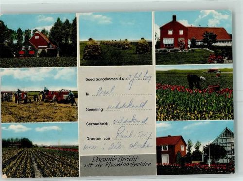 8301 Emmeloord - Urlaubsbericht Tulpenfelder