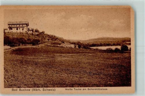 Buckow Schermützelsee Weiße Taube