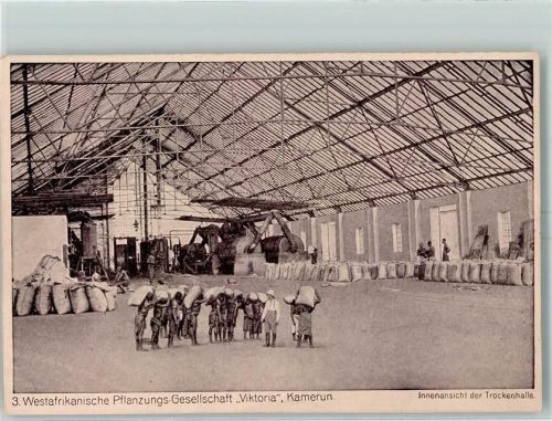 Westafrikanische Pflanzungs Gesellschaft Viktoria Innenansicht der Trockenhalle