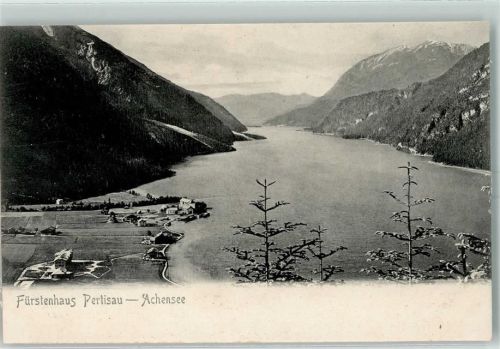 Pertisau Achensee Tannen