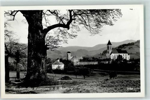 Waldhausen Sommerfrische Schloßberg