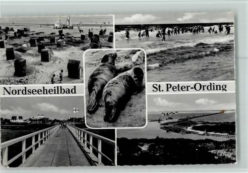 Sankt Peter-Ording Seehunde, Strandkörbe , Brücke AK