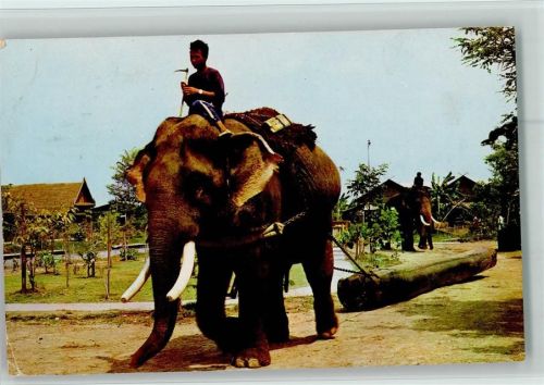 Thailand - Arbeitselefanten ziehen Baumstämme AK Eckknick Volkstypen
