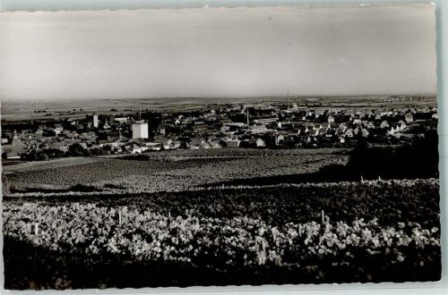 Grünstadt