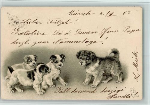1903 Hundewelpen Serie 7047 AK