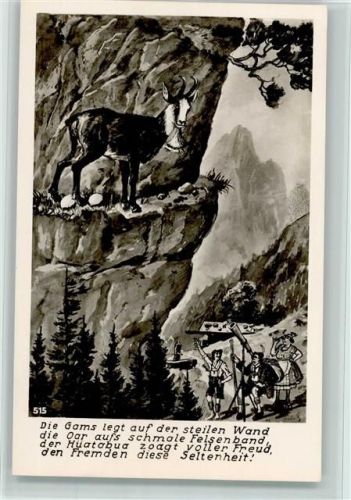 die Gams legt Eier - Humor -Verlag Peter Triem Nachf. Nr. 515 AK