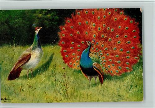 Serie 263 Pfau im roten Federkleid , gute Erhaltung