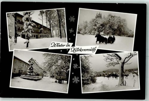Birkenreuth Winter