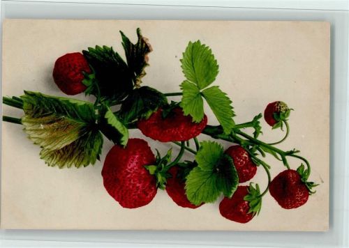 Nr. 715 - Früchte, Erdbeeren AK gute Erhaltung
