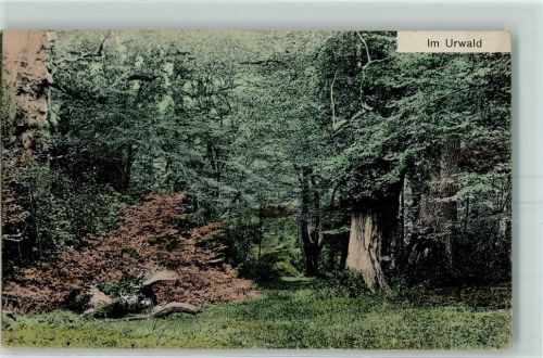 Neuenburg Im Urwald
