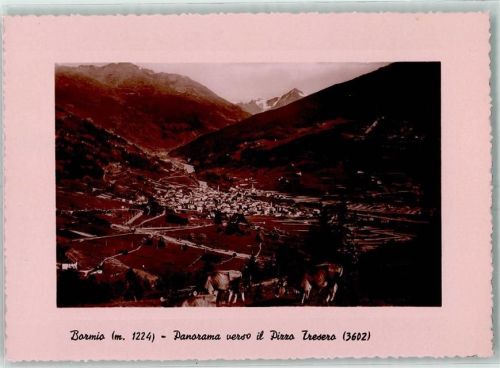 Bormio Panorama verso il Pizzo Fresero