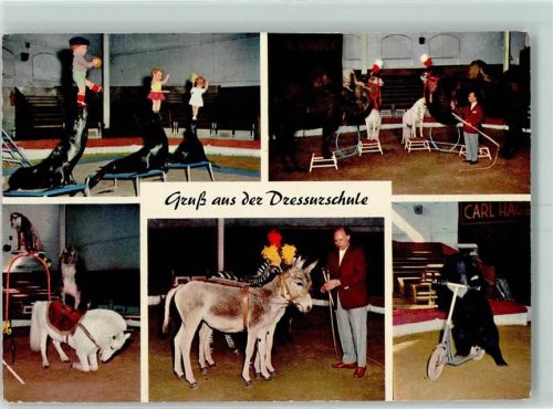 Stellingen Aus der Dressurschule AK