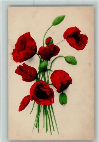 1917 Nr. 530 - Mohnblumen AK Gute Erhaltung