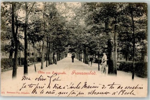 Frantiskovy Lazne 1901 Allee zur Salzquelle