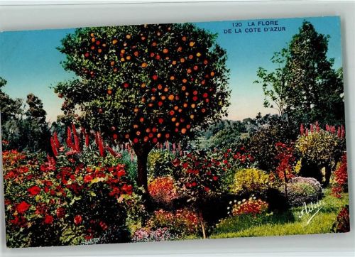 1921 La Flore an der Cote 'Azur AK