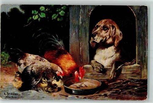 Hund und Geflügel AK Schönian, A. 1900
