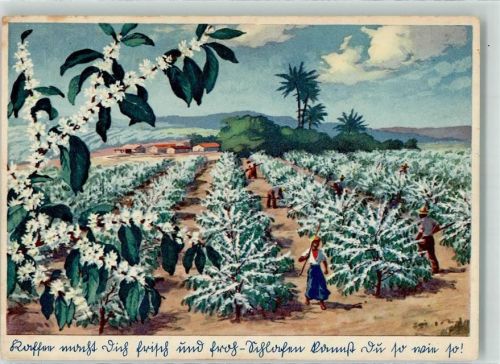 Kaffee Plantage Eduscho Werbung