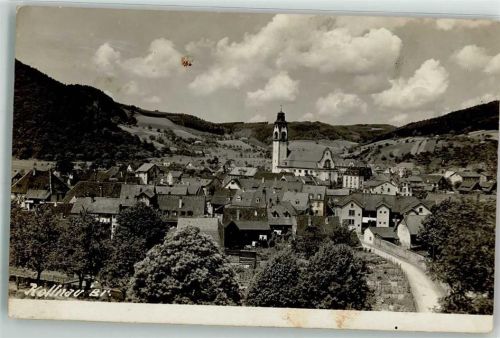 79183 W7808 Kollnau