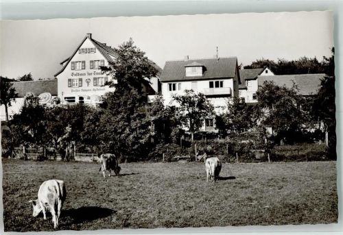 Winterkasten Gasthaus Pension zur Traube