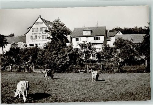 Winterkasten Gasthaus Pension zur Traube