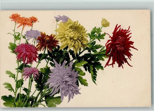 Nr. 505 - Blumen - Farbenlichtdruck