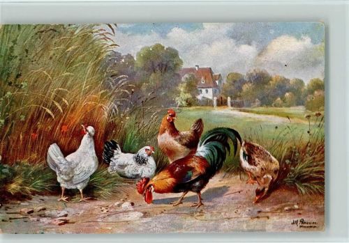 Serie 255 - Geflügel - Enten und Hühner suchen Futter Schönian, A.
