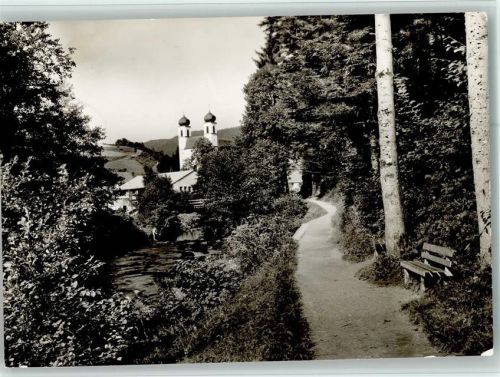 Schapbach Waldweg Ortsansicht