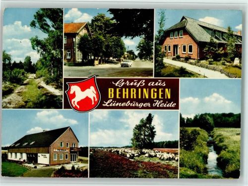 29646 W3045 Behringen , Kr Soltau - Ortsansichten Schafherde Fluss Waldweg Pension Schlu