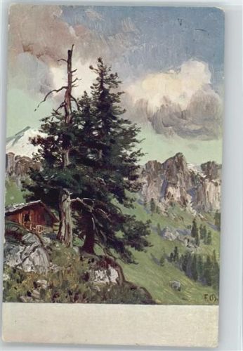 1910 Verlag D.R.G.M. Tanne am Berghang , Berghütte